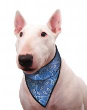 Chladící šátek pro psa Blue Western